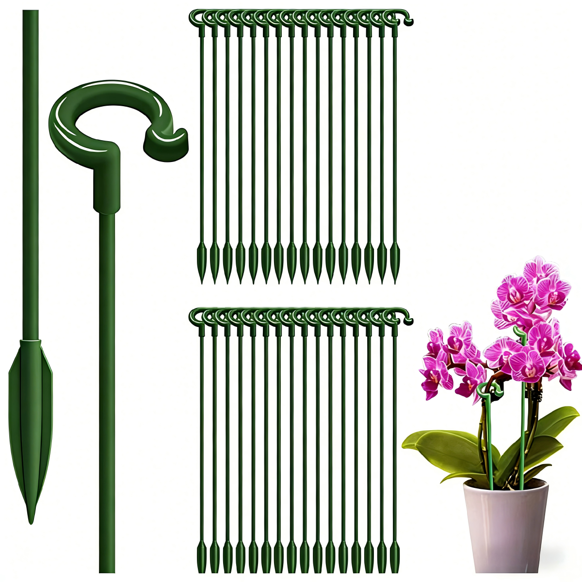 Plant Support Stakes