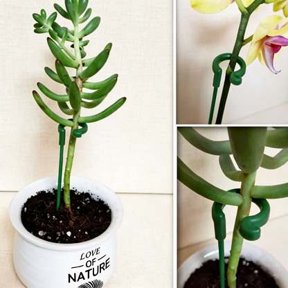Plant Support Stakes